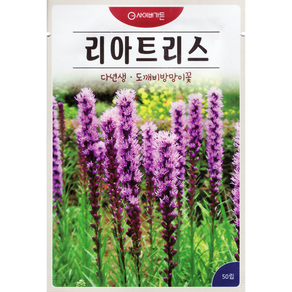 꽃 씨앗 모음 꽃씨 코스모스 해바라기 채송화 나팔 물망초 루피너스 자운영 안개초 금영화
