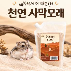 햄스터 목욕모래 사막모래 모래놀이