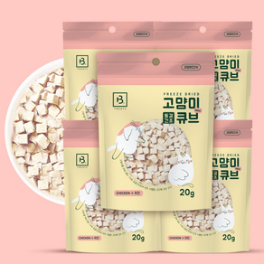 브리더랩 고양이 동결건조 고양이 미니 큐브 치킨 20g x 10개