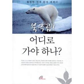 북극곰 어디로 가야 하나:황창연 신부 환경 에세이