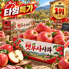 [타임특가/산지직송] 100박스한정 고당도 꿀부사사과