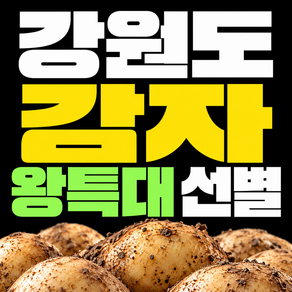 수미감자 국내산 햇감자 강원도 대자 왕특 특대 감자 1위