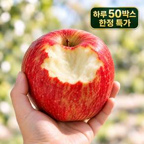 [한정특가] 아삭달콤 감홍사과 상품 중대과