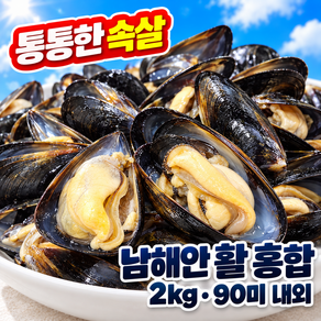 청정 남해안 통통 활 다듬이 홍합