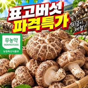 [품질보장] 국내산 무농약 가정용 생표고 표고버섯