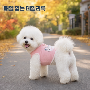 퍼피누 강아지옷 파스텔톤 귀여운 캐릭터 하네스 티셔츠 실내복 외출복