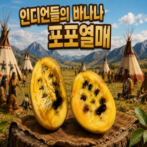 [냉동X생과O 희귀과일 제철생과]당도끝판왕 포포열매