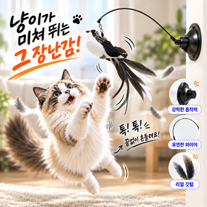 포우팝 흡착판 고정 혼자노는 플라잉버드 고양이 낚시대