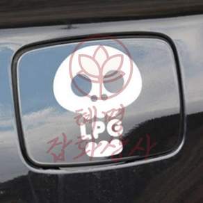 혜명잡화상사 자동차 주유구스티커 해골 LPG 화이트 자동차데코스티커