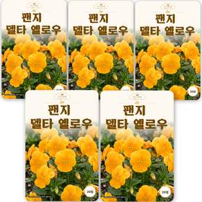 산들마켓 팬지 꽃 씨앗 20립 델타 옐로 내한성이 강한 화단용 일년생 팬지씨 종자