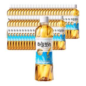 웅진 하늘보리