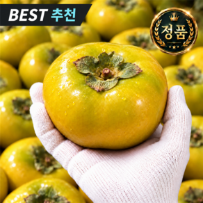 [재구매1위] 산지직송 고당도 정품 태추단감