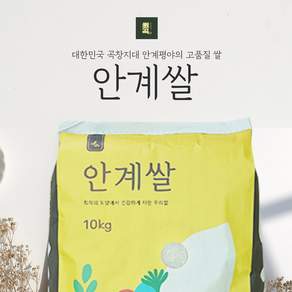 안계쌀 10kg (2026년산)
