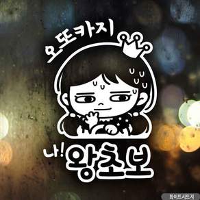 혜명몰 자동차스티커 오또카지 나왕초보 화이트시트지