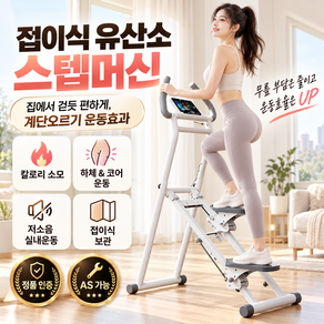 플렉스몰 천국의 계단 가정용 실내 홈트 계단 오르기 유산소 운동 스탭퍼 다이어트 운동기구