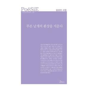 NSB9788964122228 새책스테이책터 푸른 날개의 환상을 지운다 리토피아포에지 178 리토피아 김성조 20260830 140쪽