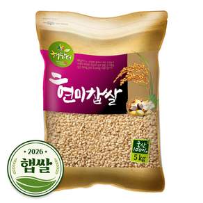 현대농산 국산 현미찹쌀 찰현미