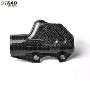DUCATI 파니갈레 V4R 899 스트리트 파이터 V2 탄소 섬유 리어 브레이크 펌프 커버 캡 오토바이 액세서리