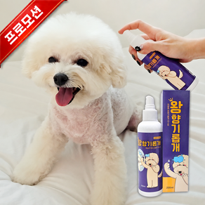 HAMIL 반려동물 왕향기롭개 미스트