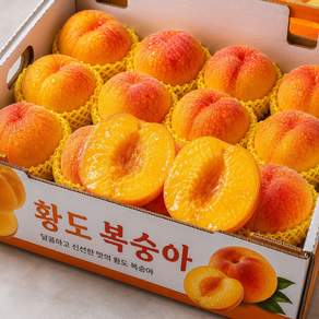 최상급 제철복숭아 고당도꿀복숭아 황도복숭아 백도복숭아