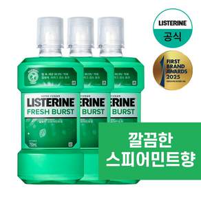 리스테린 후레쉬 버스트 구강청결제