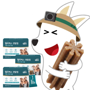 벨라맥스 SBS TV 동물농장 수의사 강아지 덴탈껌