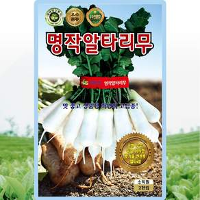 KS종묘 명작알타리무 씨앗 2000립 알타리무씨 종자