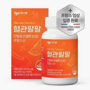 씨스팡 2026 리뉴얼 혈관팔팔 칸탈로프멜론 SOD