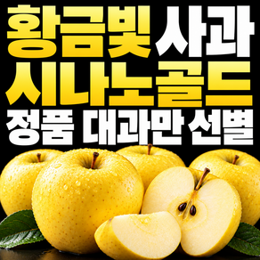 시나노 골드 사과 대과 특대과 프리미엄 시나노사과 구매1위