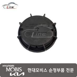 투싼TL 더스트캡 헤드램프 모이처스(상향) (브라켓 제외) 92140 D3100