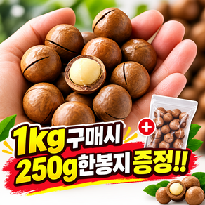 [항공직송] 구운 통 마카다미아 고소함 밀크맛 (도구포함)