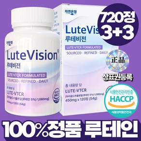 자연온정 루테비전 LUTE VTCR 빌베리 블루베리 루테인 정품