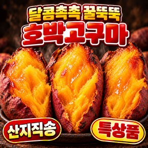 [산지직송] 꿀뚝뚝 고당도 꿀 호박 고구마