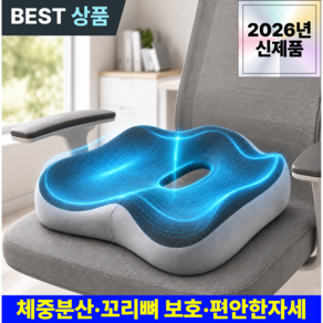 모니엔 고밀도 메모리폼 밸런스핏 프로 3.0 편안한 자세 꼬리뼈 방석