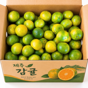 [첫수확특가] 제주 극조생 감귤 고당도 밀감
