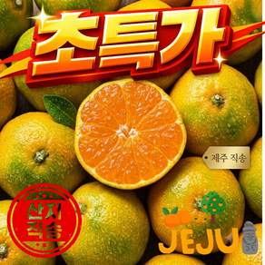 [초특가할인]제주농장직송 고당도 맛있는 제주 감귤