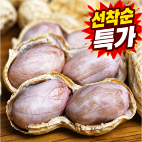 [국산우주특가] 햇 피땅콩 생땅콩 물땅콩