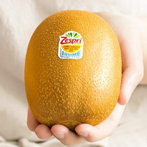 (맛젤) 제스프리 점보 썬골드키위 3.4kg(개당 155g내외 22개입)