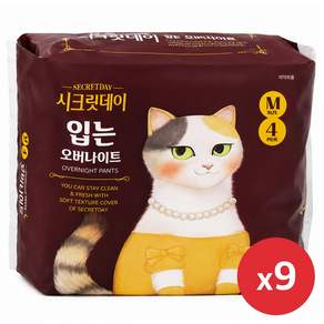 시크릿데이 입는 오버나이트 팬티형