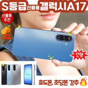 삼성전자 갤럭시 A17 자급제 SM-A175N