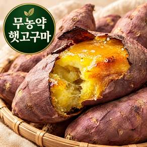 [작년판매1위] 특상사이즈 세척한 무농약 해남 꿀고구마