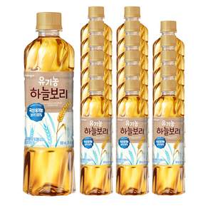 웅진 유기농 하늘보리