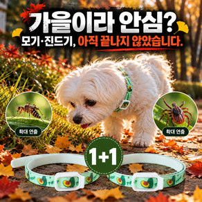 1+1르와핏 강아지 진드기 방지목걸이 고양이 모기 벌레 해충방지목걸이 기피제