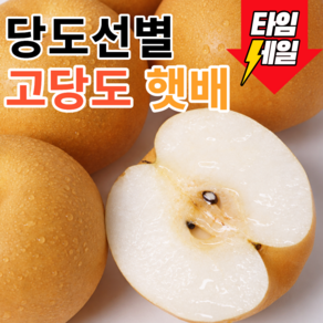 첫수확특가 햇배 당도선별 고당도 신고배