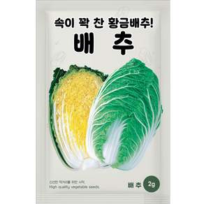 NH농우바이오 가을 김장배추 배추 씨앗 종자 2g