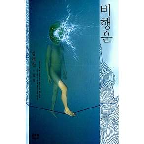 비행운