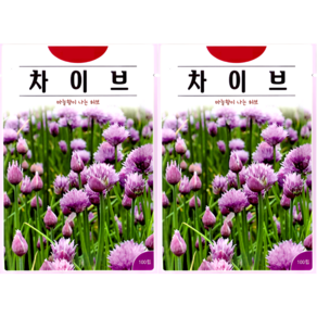 차이브 씨앗 100립 마늘향 허브 종자 식용 베란다 텃밭 화분 재배