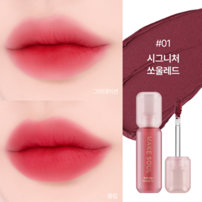 메크쏘울 소프트 에어리 벨벳 틴트