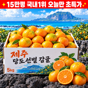 [농협중매인] 작년구매1위 제주직송 제주 감귤