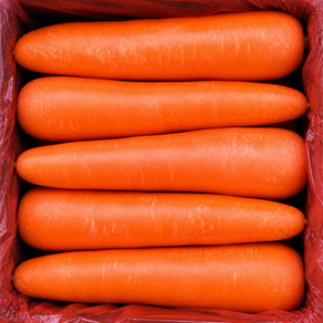 수입 당근 대용량 신선 세척 당근[품질보장]